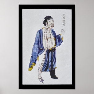 Acupunctie Stomach Meridian Foot Yangming Poster