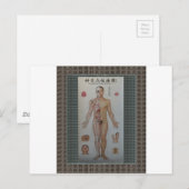 Acupunctie wijst volledige lichaamswandkunst briefkaart (Voorkant / Achterkant)