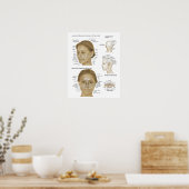 Acupunctiereflexologie Face & Head-microsystemen Poster (Keuken)