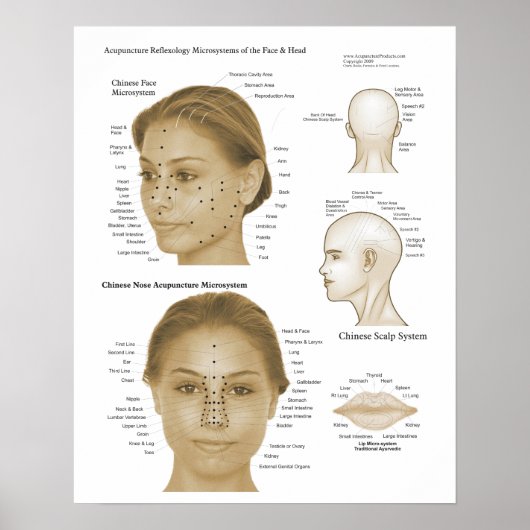 Acupunctiereflexologie Face & Head-microsystemen Poster (Voorkant)