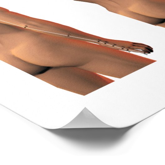 Acupunctieschema Meridian Points - Classificatiesc Poster (Hoek)