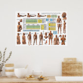 Acupunctieschema Meridian Points - Classificatiesc Poster (Keuken)