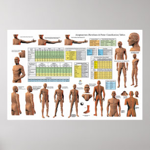 Acupunctieschema Meridian Points - Classificatiesc Poster