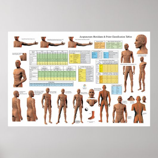 Acupunctieschema Meridian Points - Classificatiesc Poster (Voorkant)