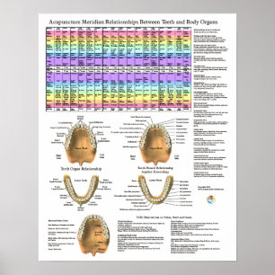 Acupunctuur Tandheelkundige Tanden Meridianen Poster