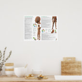 Acupunctuurpunten van de Levermeridiaan Poster (Keuken)