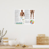 Acupunctuurpunten van de maagmeridiaan poster (Keuken)