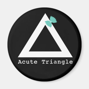 Acute driehoek magneet