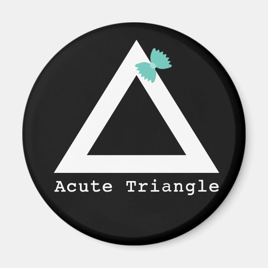 Acute driehoek magneet (Voorkant)