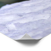 Ad?lie Penguins Poster (Hoek)