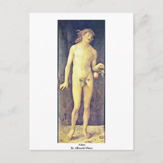 Adam By Albrecht Dürer Briefkaart (Voorkant)