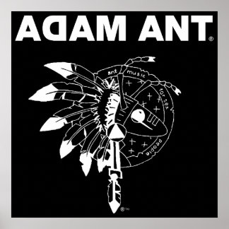 Adam en de Ants Poster