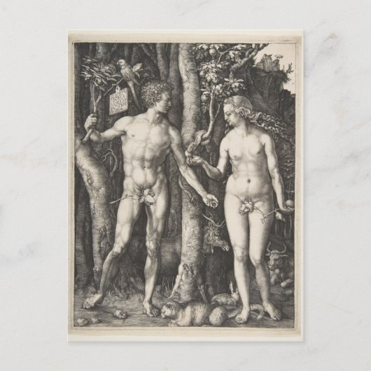 Adam en Eva, 1504 Briefkaart (Voorkant)