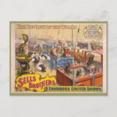 Adam Forepaugh en Sells Brothers Circus Poster Briefkaart (Voorkant)