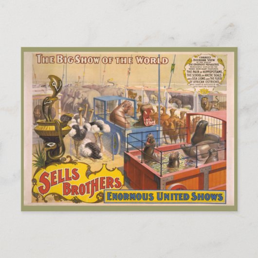 Adam Forepaugh en Sells Brothers Circus Poster Briefkaart (Voorkant)