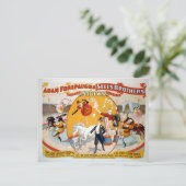 Adam Forepaugh & Sells Brothers Briefkaart (Staand voorkant)