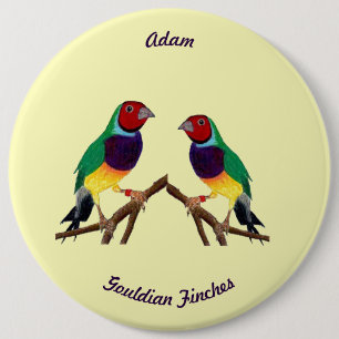 ADAM ~ Gouldian Finch ~ Gepersonaliseerd ~ Ronde Button 6,0 Cm