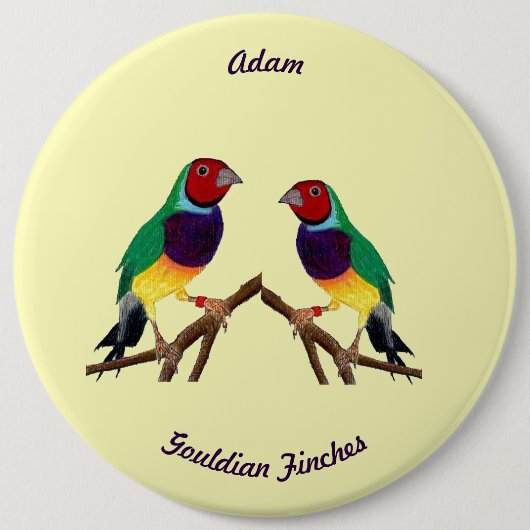 ADAM ~ Gouldian Finch ~ Gepersonaliseerd ~ Ronde Button 6,0 Cm (Voorkant)