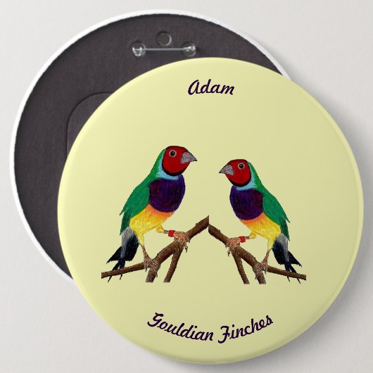 ADAM ~ Gouldian Finch ~ Gepersonaliseerd ~ Ronde Button 6,0 Cm (Voorkant /achterkant)