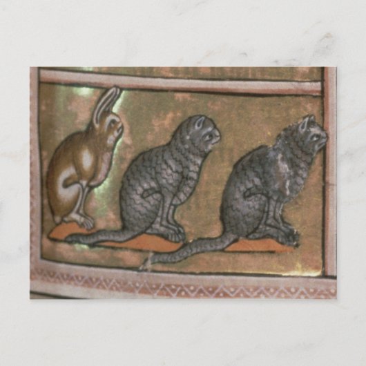 Adam noemde de dieren uit Noord-Midlands Briefkaart (Voorkant)