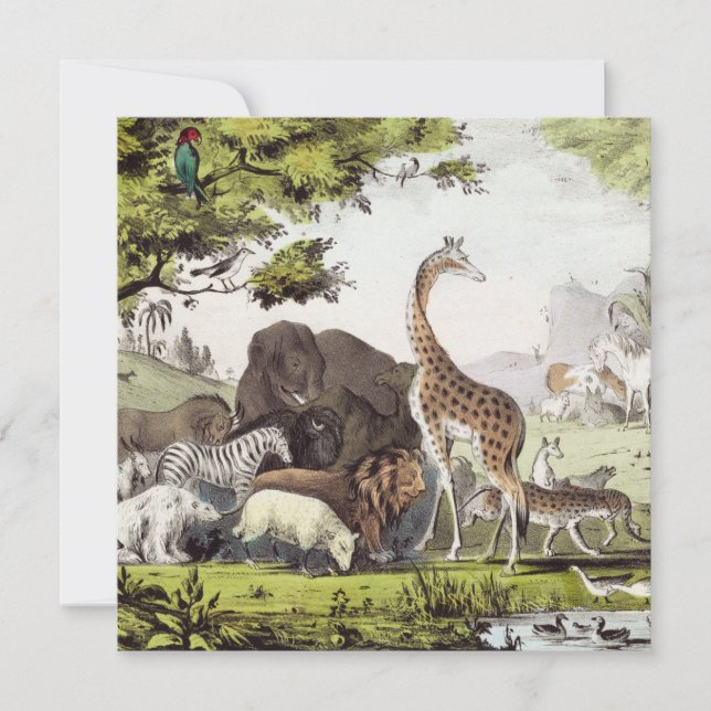 Adam noemt de schepselen (Voorkant)