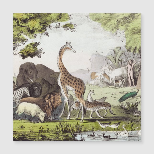 Adam noemt de schepselen (Voorkant)