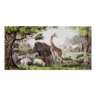 Adam noemt de schepselen perfect poster