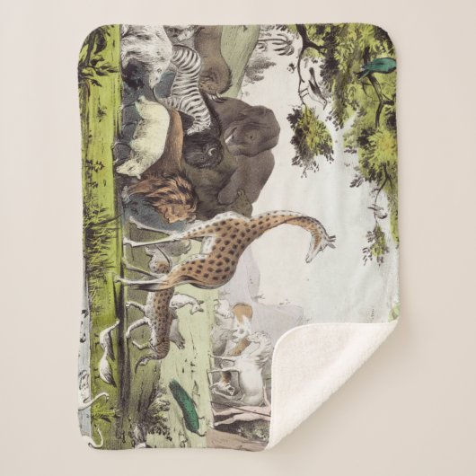 Adam noemt de schepselen sherpa deken (Voorkant)