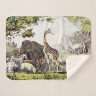 Adam noemt de schepselen sherpa deken