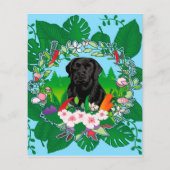 Adam Scott - Impressive player Flyer (Achterkant)