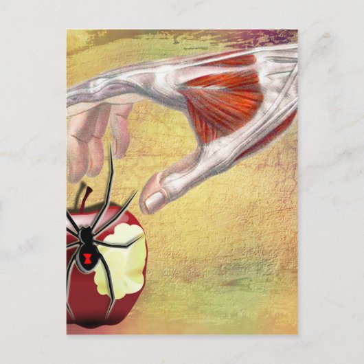 ADAM'S APPLE.jpg Briefkaart (Voorkant)