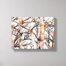 Adam's Birch Canvas Afdruk