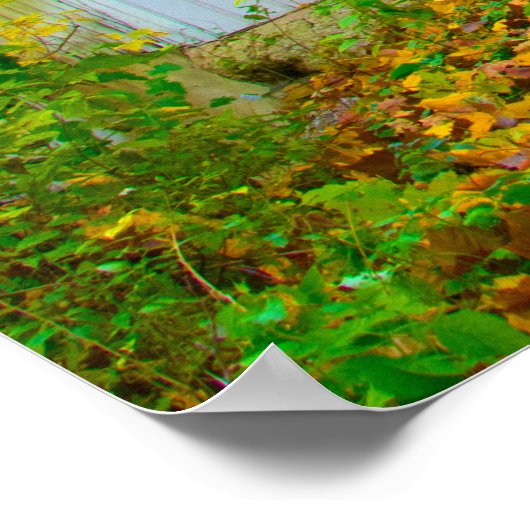 Adams Mill Old Covered Bridge, Indiana Poster (Hoek)