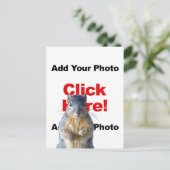 Add A Squirrel Custom Photo Postcard Briefkaart (Staand voorkant)