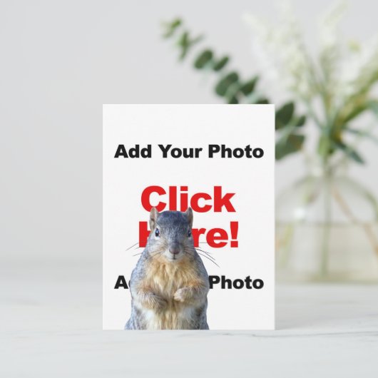 Add A Squirrel Custom Photo Postcard Briefkaart (Staand voorkant)
