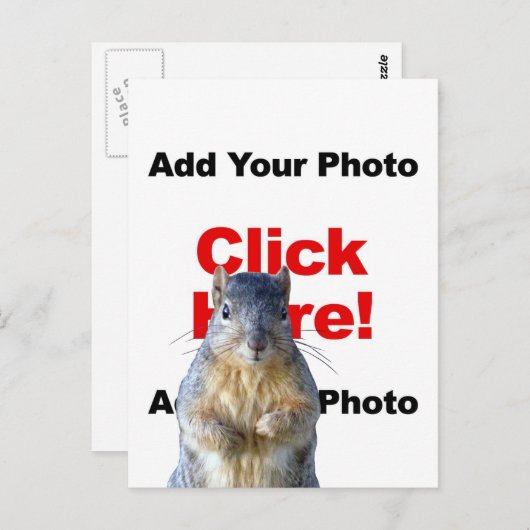 Add A Squirrel Custom Photo Postcard Briefkaart (Voorkant / Achterkant)