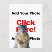 Add A Squirrel Custom Photo Postcard Briefkaart (Voorkant)