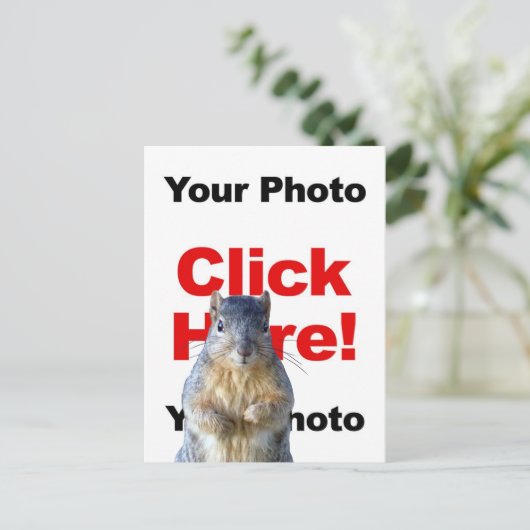 Add A Squirrel Custom Photo Postcard Briefkaart (Staand voorkant)