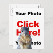 Add A Squirrel Custom Photo Postcard Briefkaart (Voorkant / Achterkant)