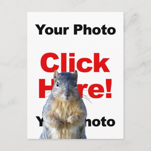 Add A Squirrel Custom Photo Postcard Briefkaart (Voorkant)