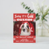 Add Pet Photo "Baby It's Cold Outside" Holiday Briefkaart (Staand voorkant)