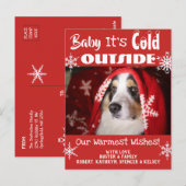 Add Pet Photo "Baby It's Cold Outside" Holiday Briefkaart (Voorkant / Achterkant)