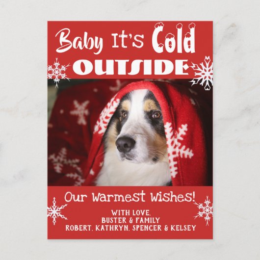 Add Pet Photo "Baby It's Cold Outside" Holiday Briefkaart (Voorkant)