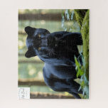 Adda_Bouch cheetah Puzzle Legpuzzel<br><div class="desc">Adda_Bouch cheetah puzzle</div>