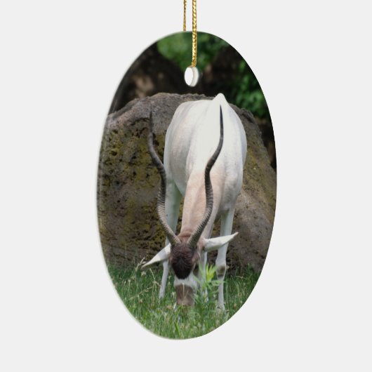 Addax Ornament (Rechts)