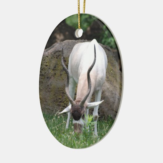 Addax Ornament (Links)