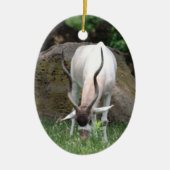 Addax Ornament (Voorkant)