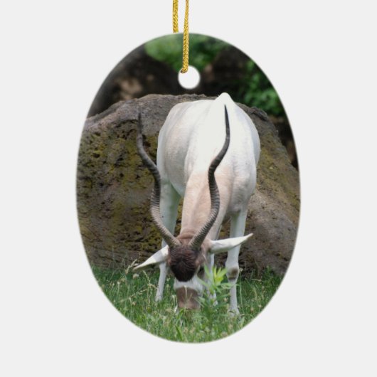Addax Ornament (Achterkant)