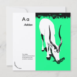 Addax/Oryx ~ Miriam Kilmer, gerecycleerd materiaal