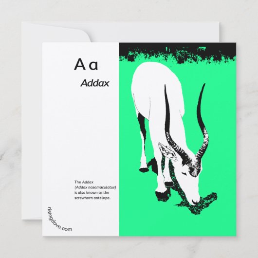 Addax/Oryx ~ Miriam Kilmer, gerecycleerd materiaal (Voorkant)